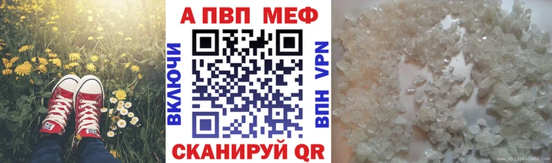 А ПВП СК  Новокубанск 