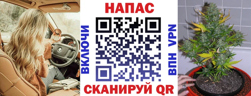 Шишки марихуана Bruce Banner  продажа наркотиков  Новокубанск 